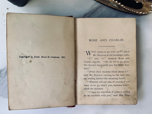 Illustrated 1877 Rose & Kate; Victorian Book; Children’s Book; Storybook