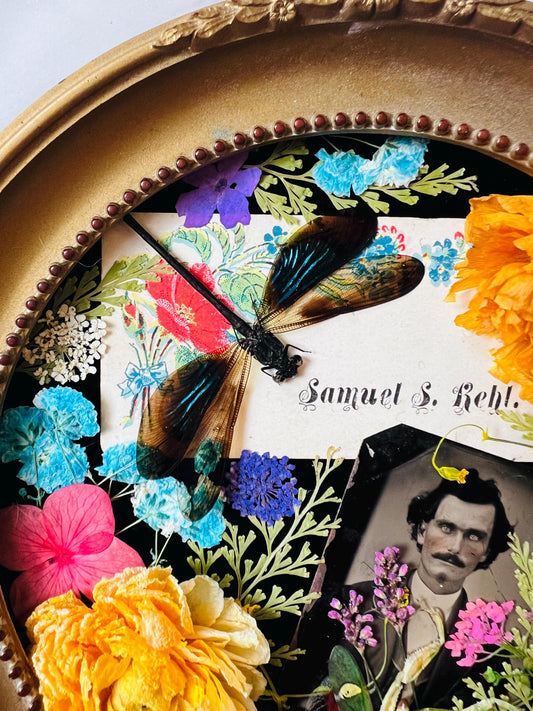 Real Insect Art; Real Dragonfly Mantis; Antique Bubble Convex Frame