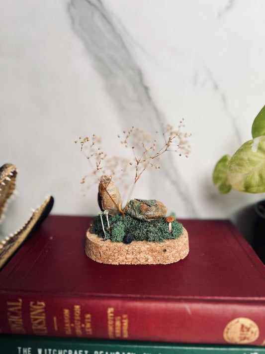 Real Cocoon Display; Real Luna Moth Cocoon; Glass Cloche Display