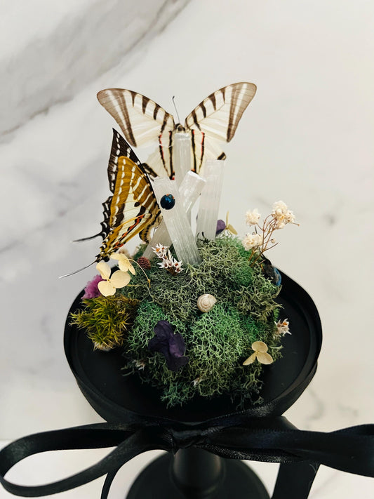 Real Insect Art; Real Taxidermy Art; Glass Cloche Globe