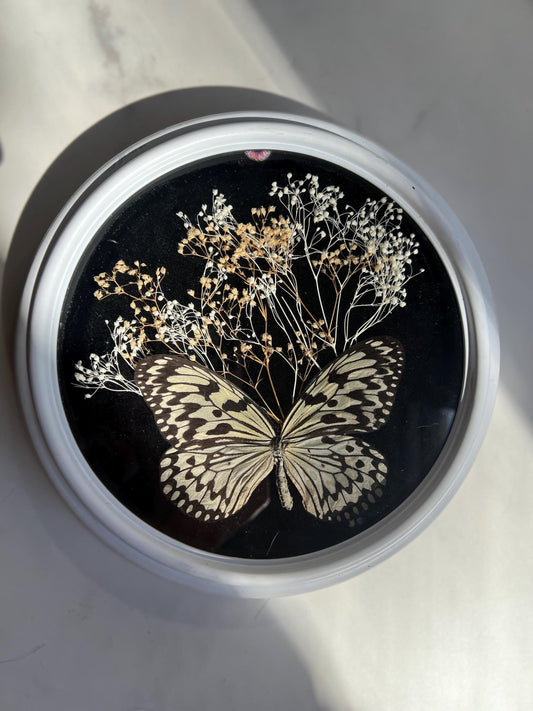 Real Insect Art; Real Butterfly; Vintage Clock; Repurposed