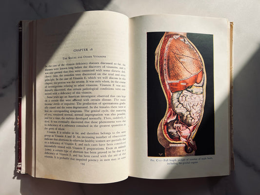 Illustrated 1954 Encyclopedia of Sex; Vintage Medical Book