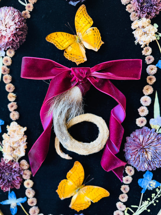 Real Insect Art; Antique Convex Bubble Glass Frame