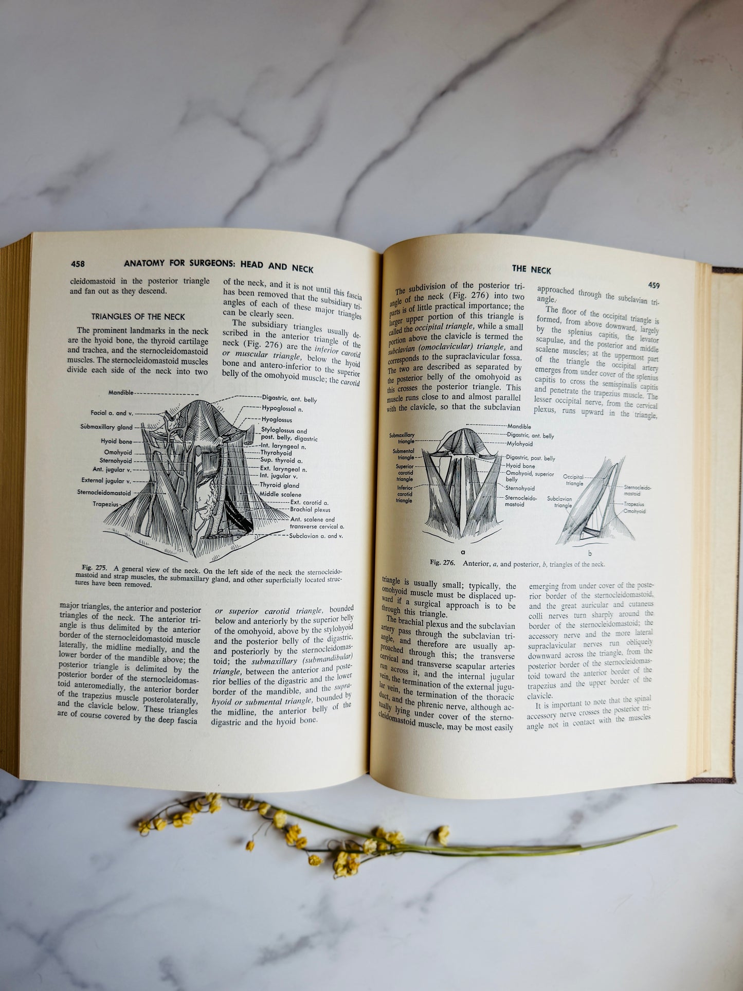 1954 Anatomy for Surgeons: Volume 1; Vintage Medical Book