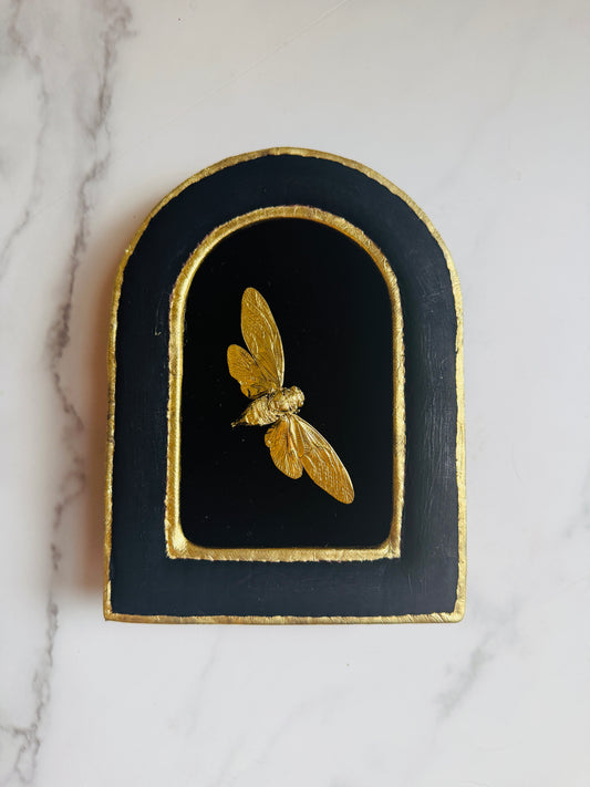 Aurecanta - Real Cicada Art; Gold Leafed Cicada