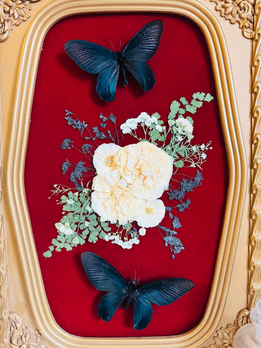 Lilliane - Real Butterfly Art; Ornate Bubble Glass Frame
