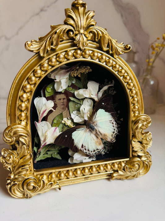 Rainveil - Real Butterfly Art; Real Texas Rain Lilies; Real Antique Tintype