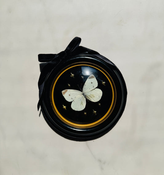 Velora - Real Butterfly Art; Vintage Bubble Glass Frame