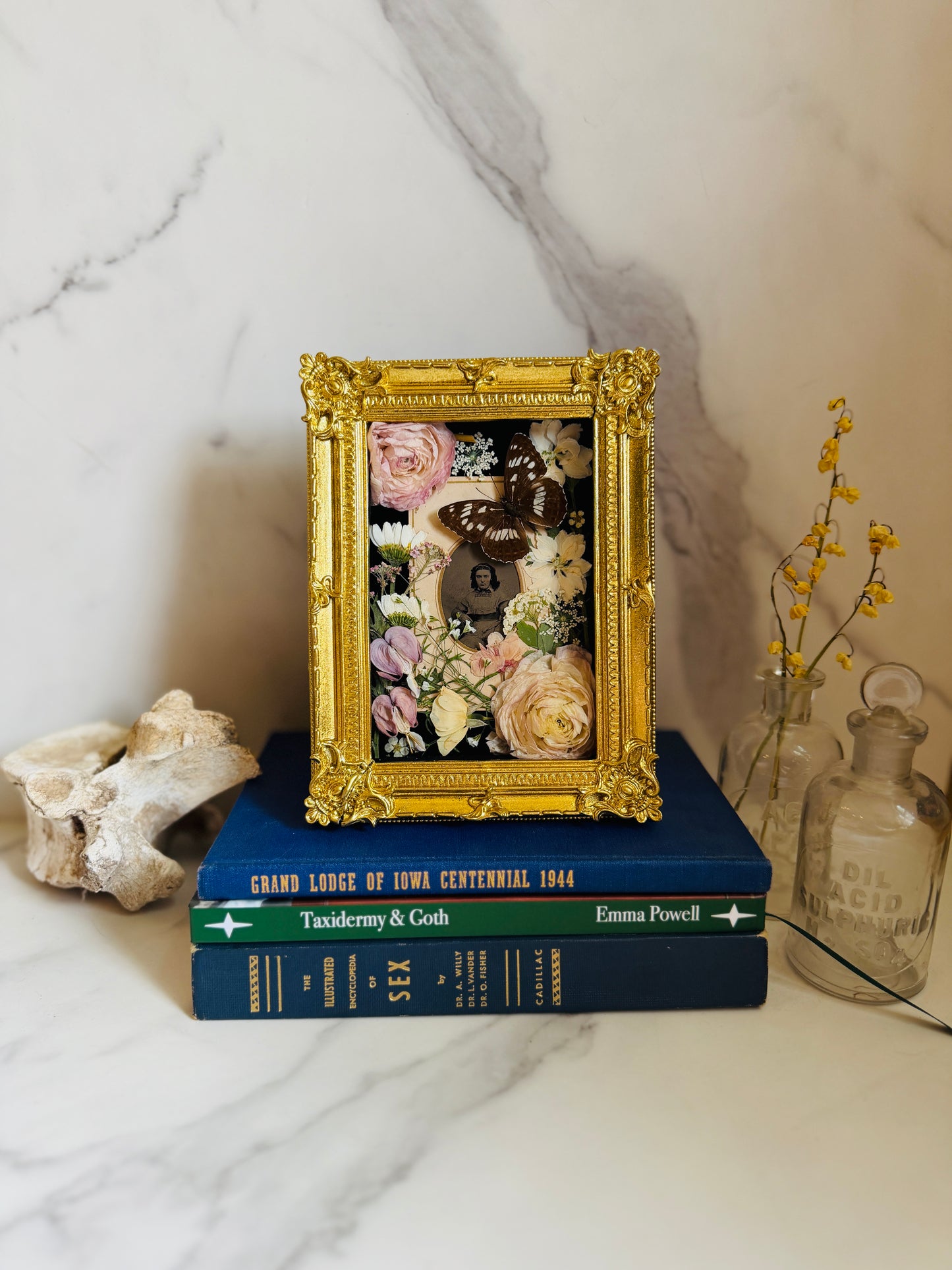 Aurethia - Real Butterfly Art; Real Antique Tintype