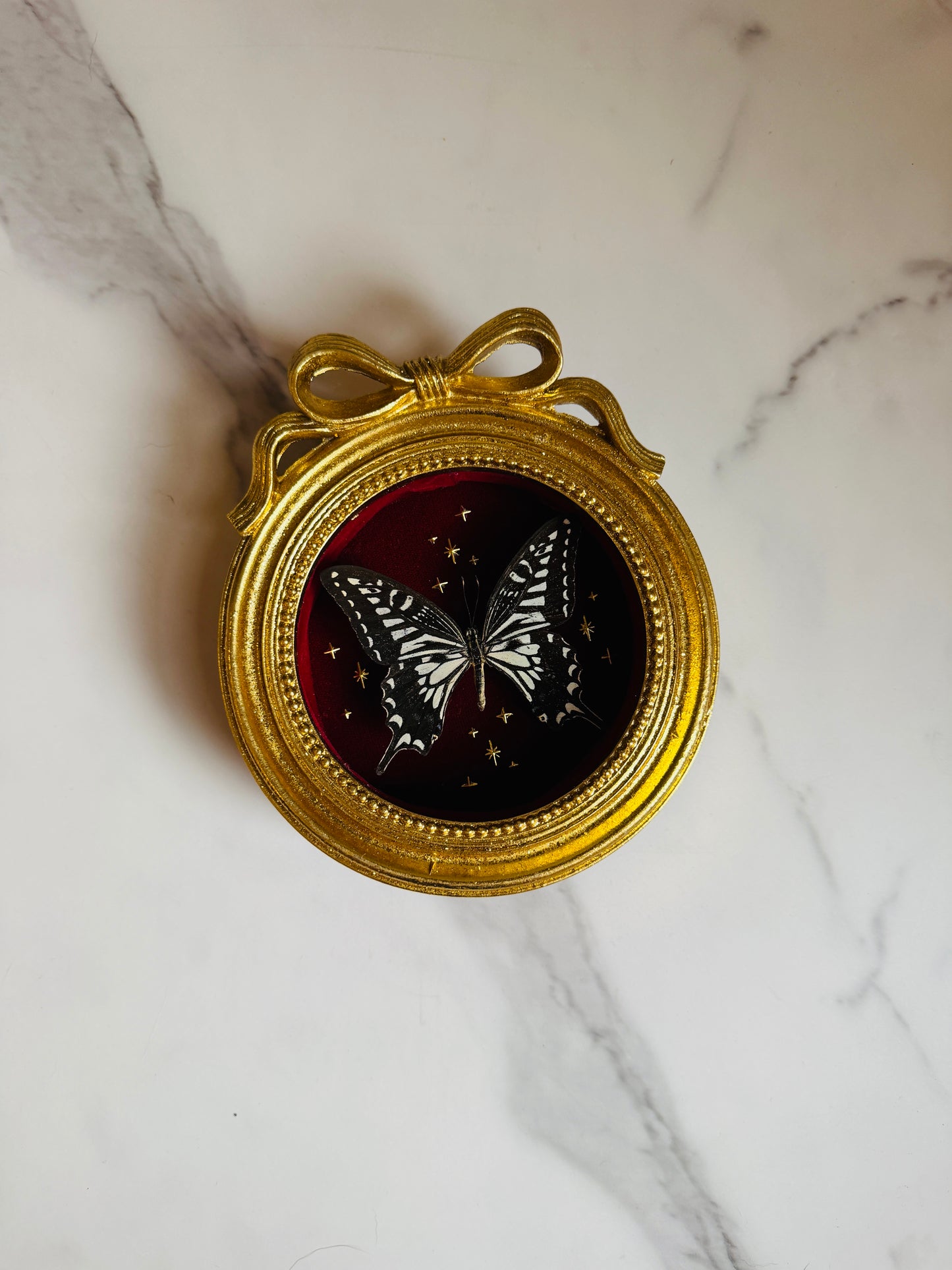 Amouréa - Real Butterfly Art