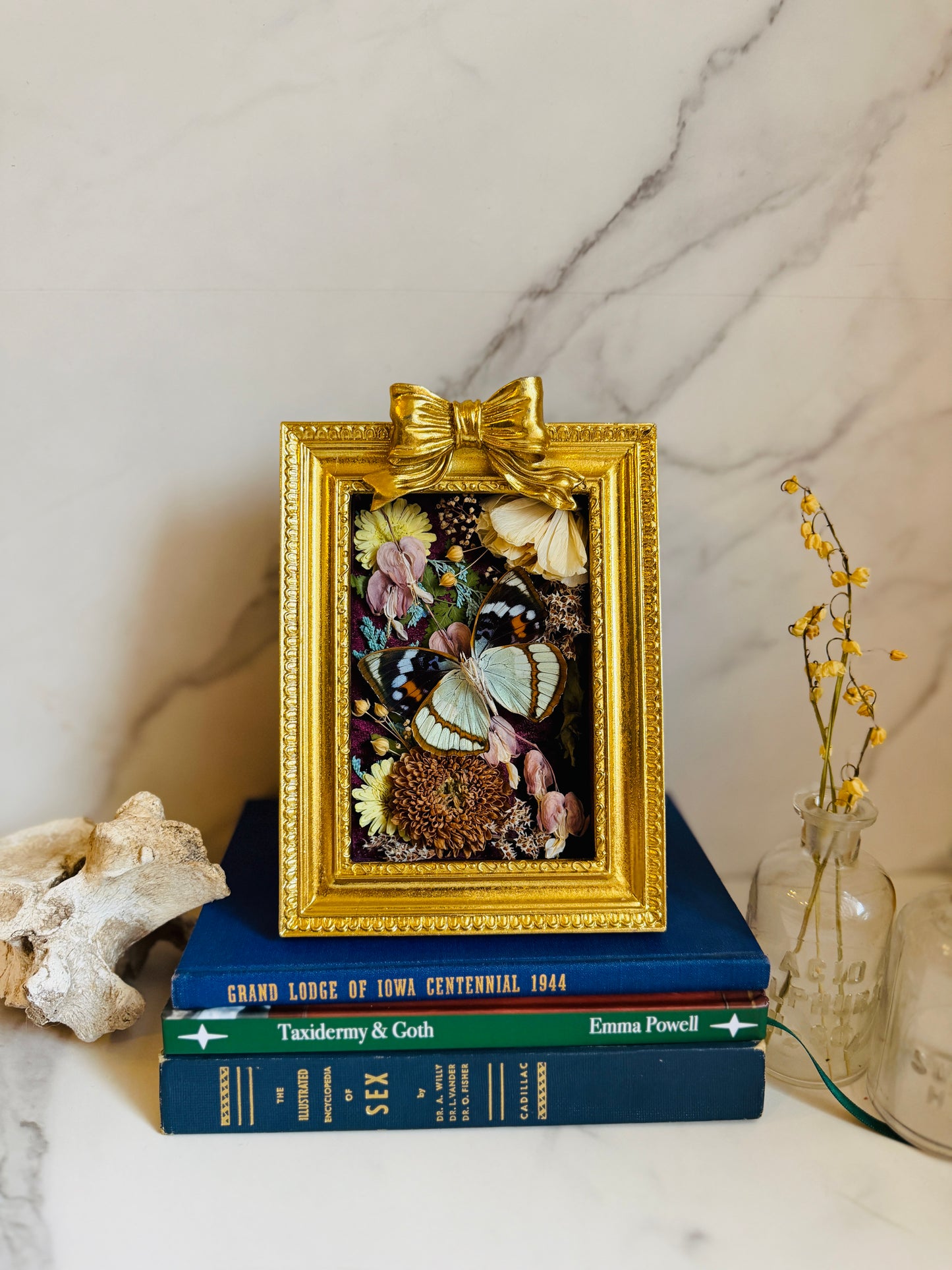 Floréveil - Real Butterfly Art; Gold Ornate Frame