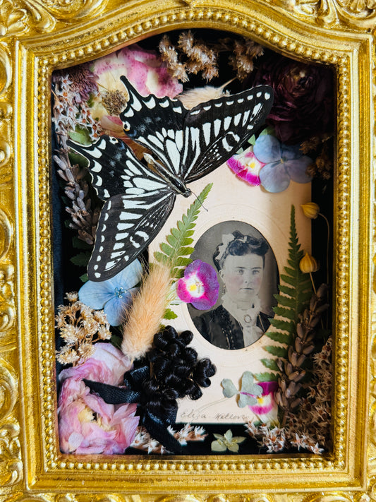 Virethys - Real Butterfly Art; Real Victorian Inspired Hairwork; Real Antique Tintype