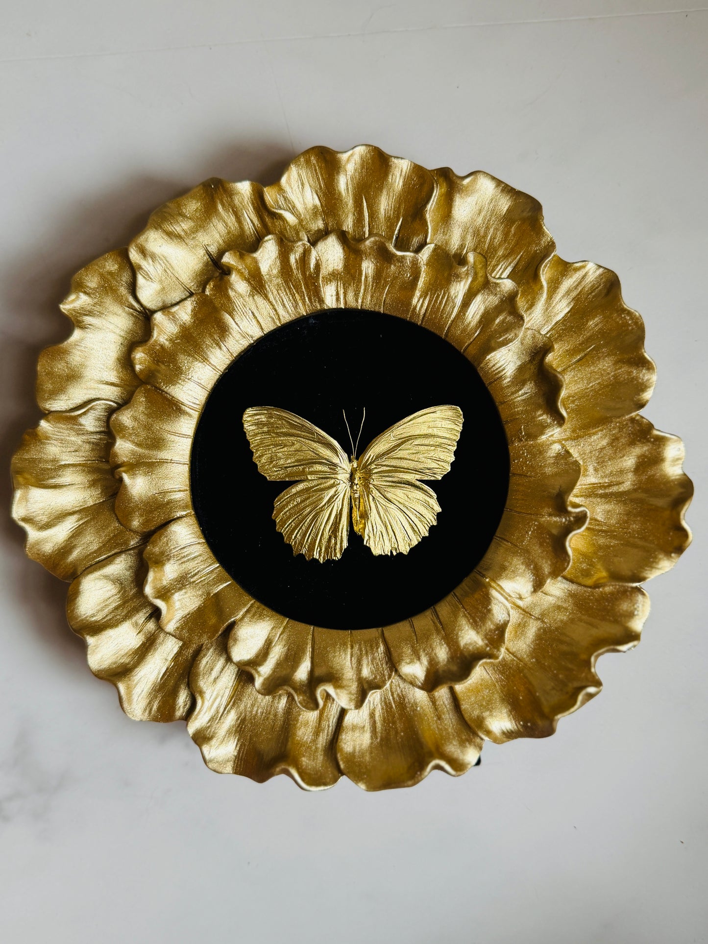 Aureate - Real Butterfly Art; Real Gold Gilded Butterfly