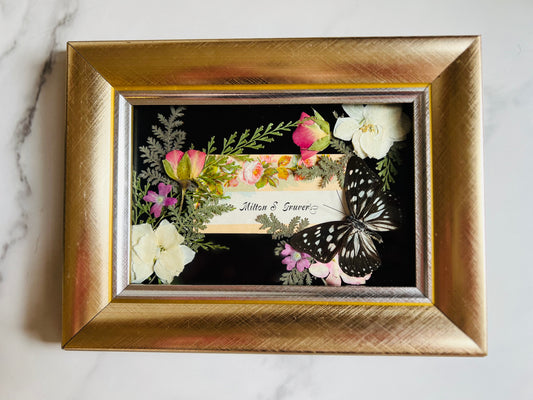 Real Insect Art; Real Antique Calling Card; Real Butterfly