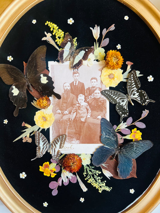 Real Insect Art; Real Butterflies; Real Antique Cabinet Card