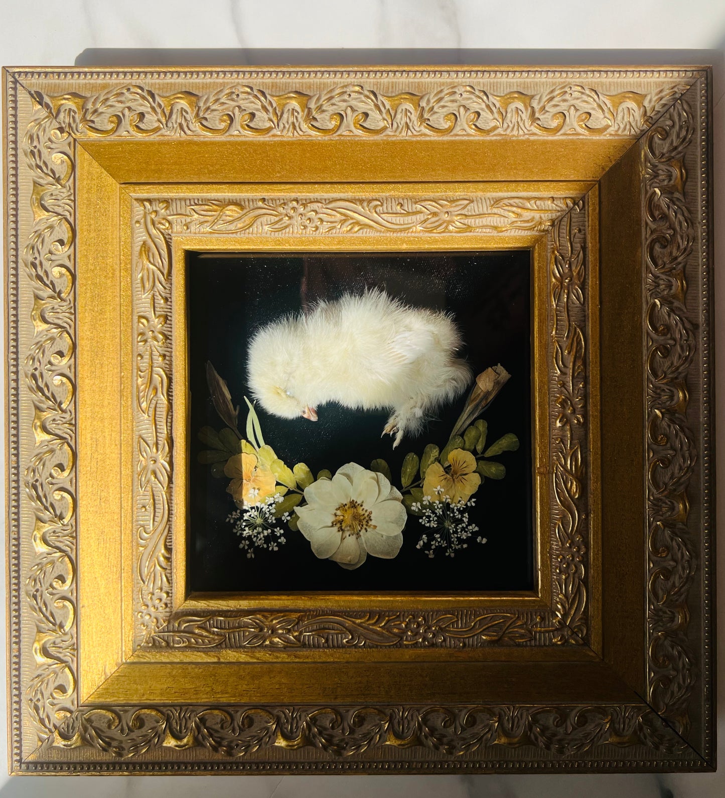 Real Taxidermy Art; Real Mummification; Real Chick