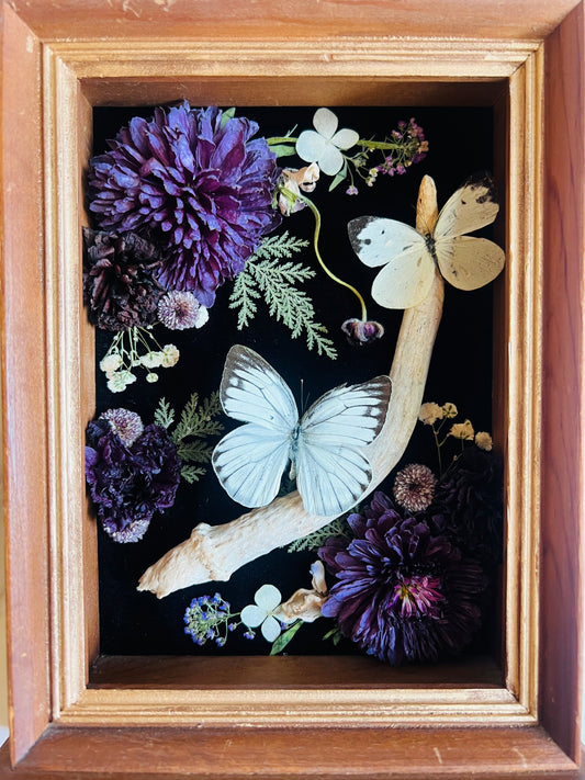 Real Insect Art; Real Antler; Antique Wood Frame