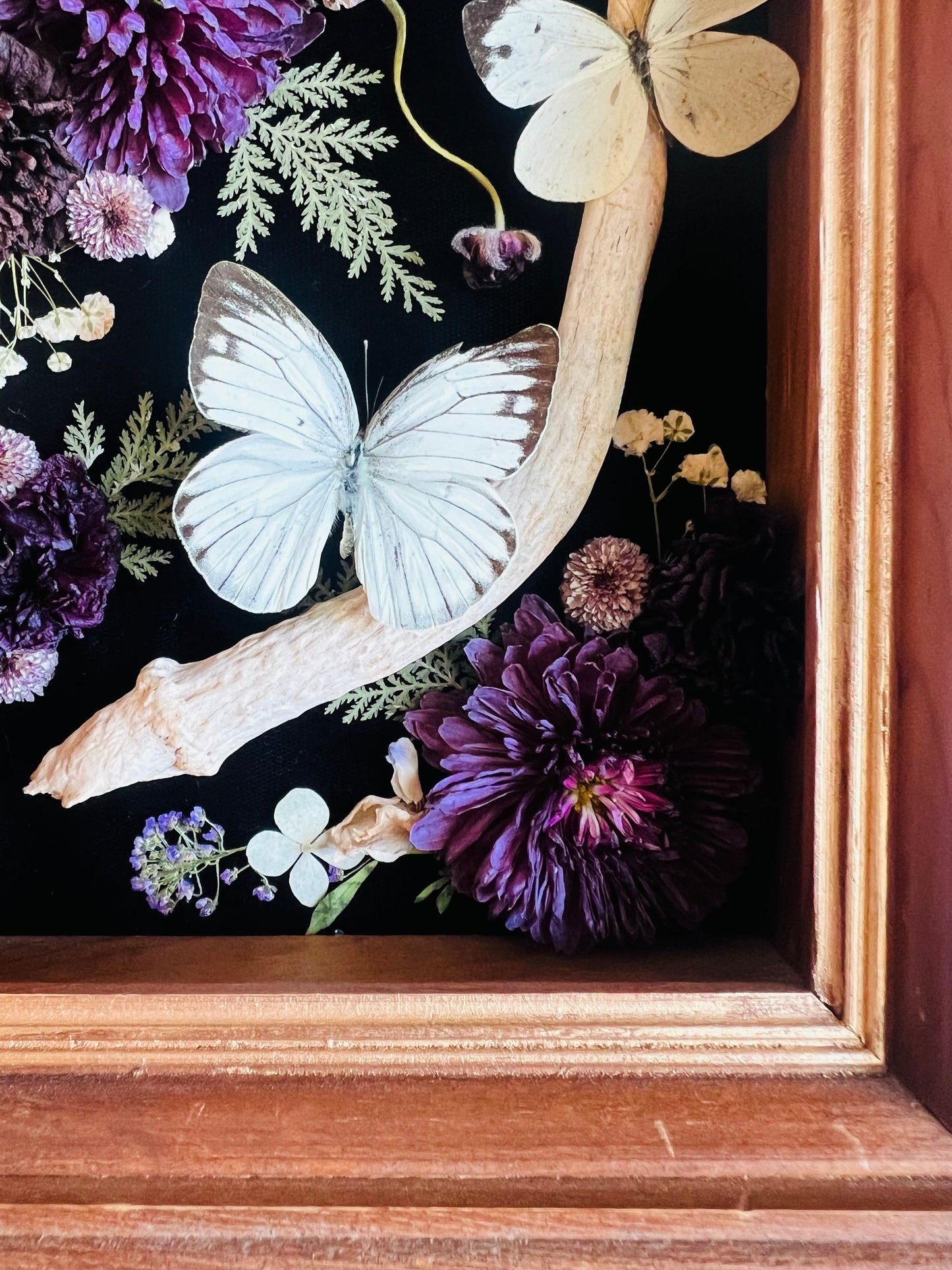 Real Insect Art; Real Antler; Antique Wood Frame