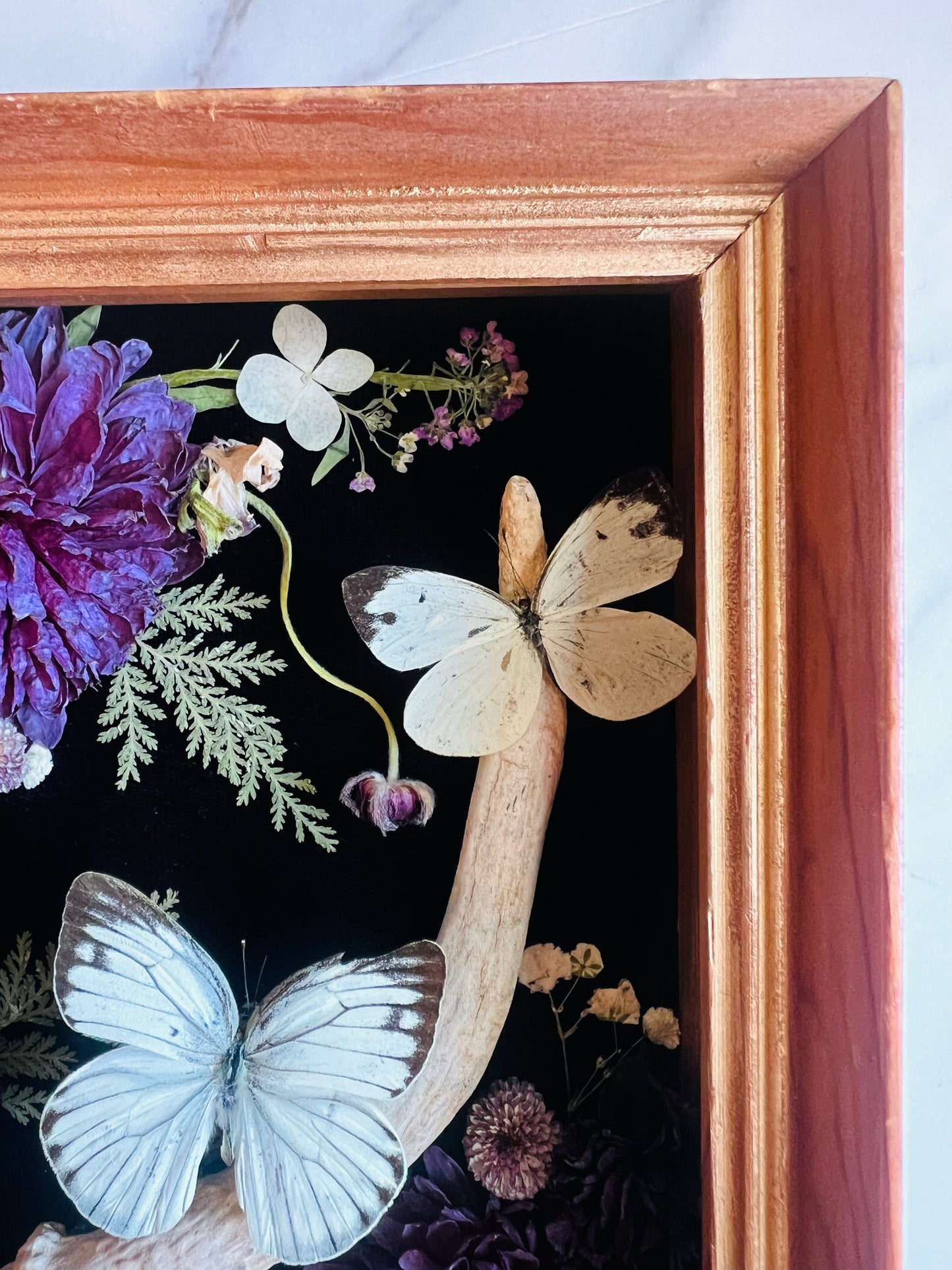 Real Insect Art; Real Antler; Antique Wood Frame