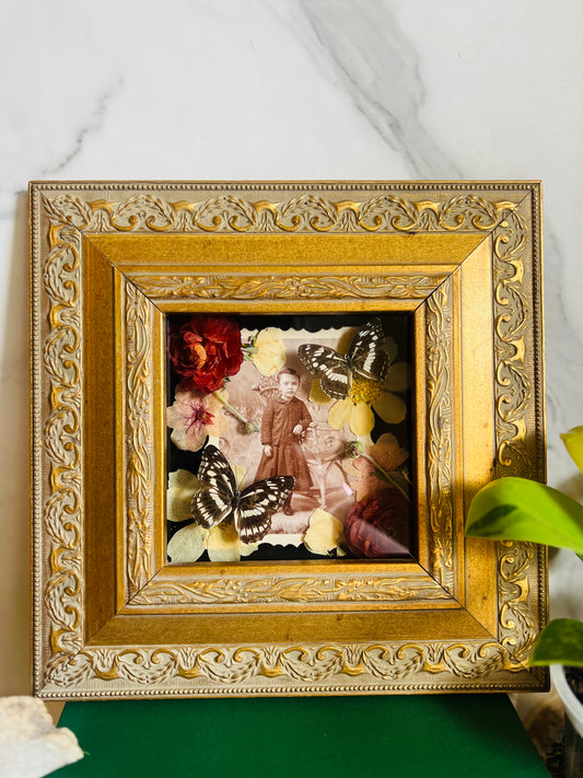 Real Insect Art; Real Antique Cabinet Card; Antique Ornate Frame