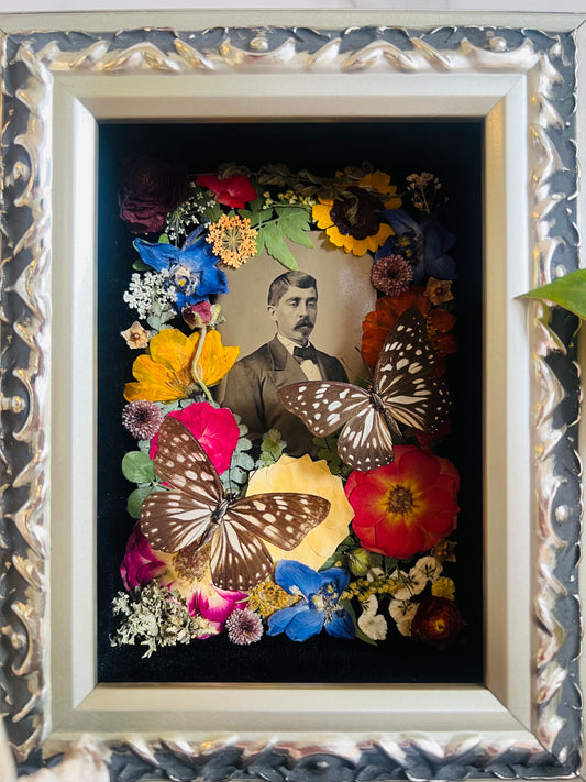Real Insect Art; Real Antique Tintype; Real Butterfly