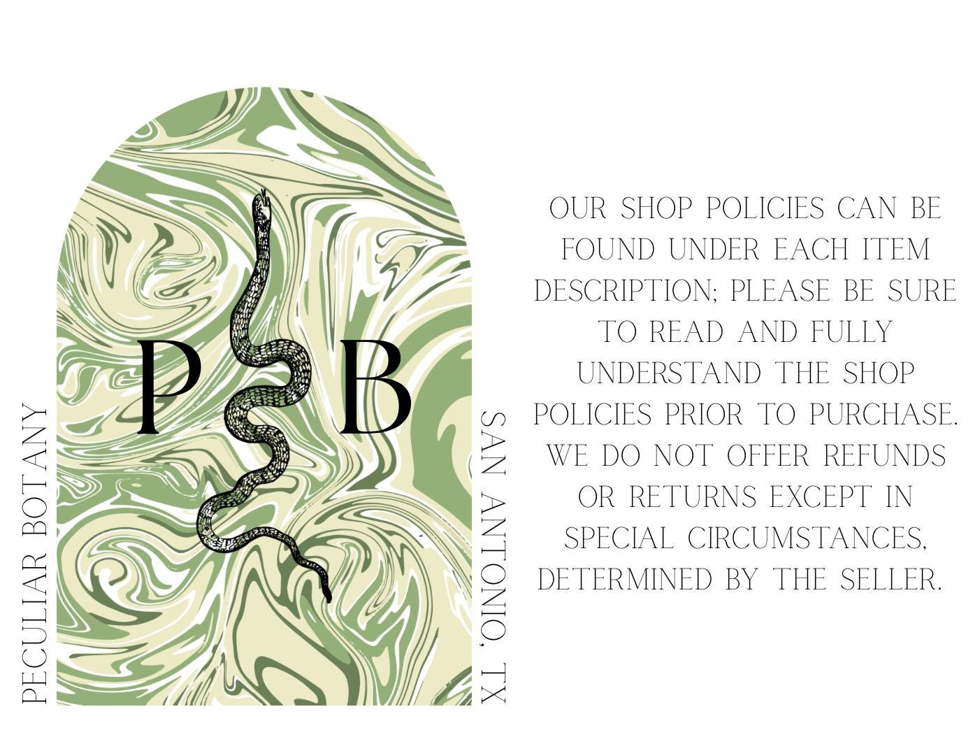 Real Insect Art; Antique Convex Bubble Glass Frame