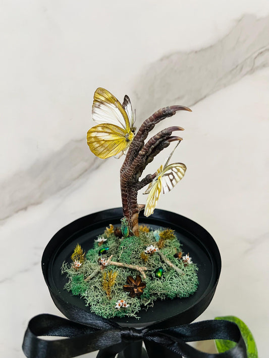 Real Insect Art; Real Taxidermy Art; Glass Cloche Globe