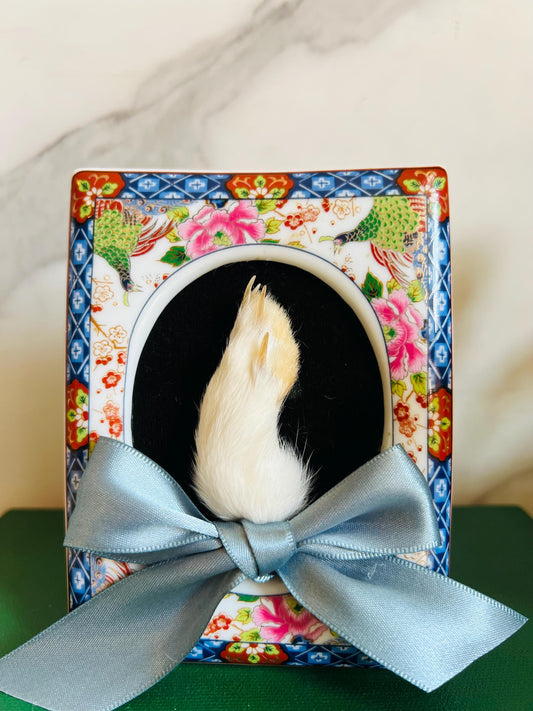 Real Taxidermy Art; Real Rabbit Foot; Antique Ornate Frame