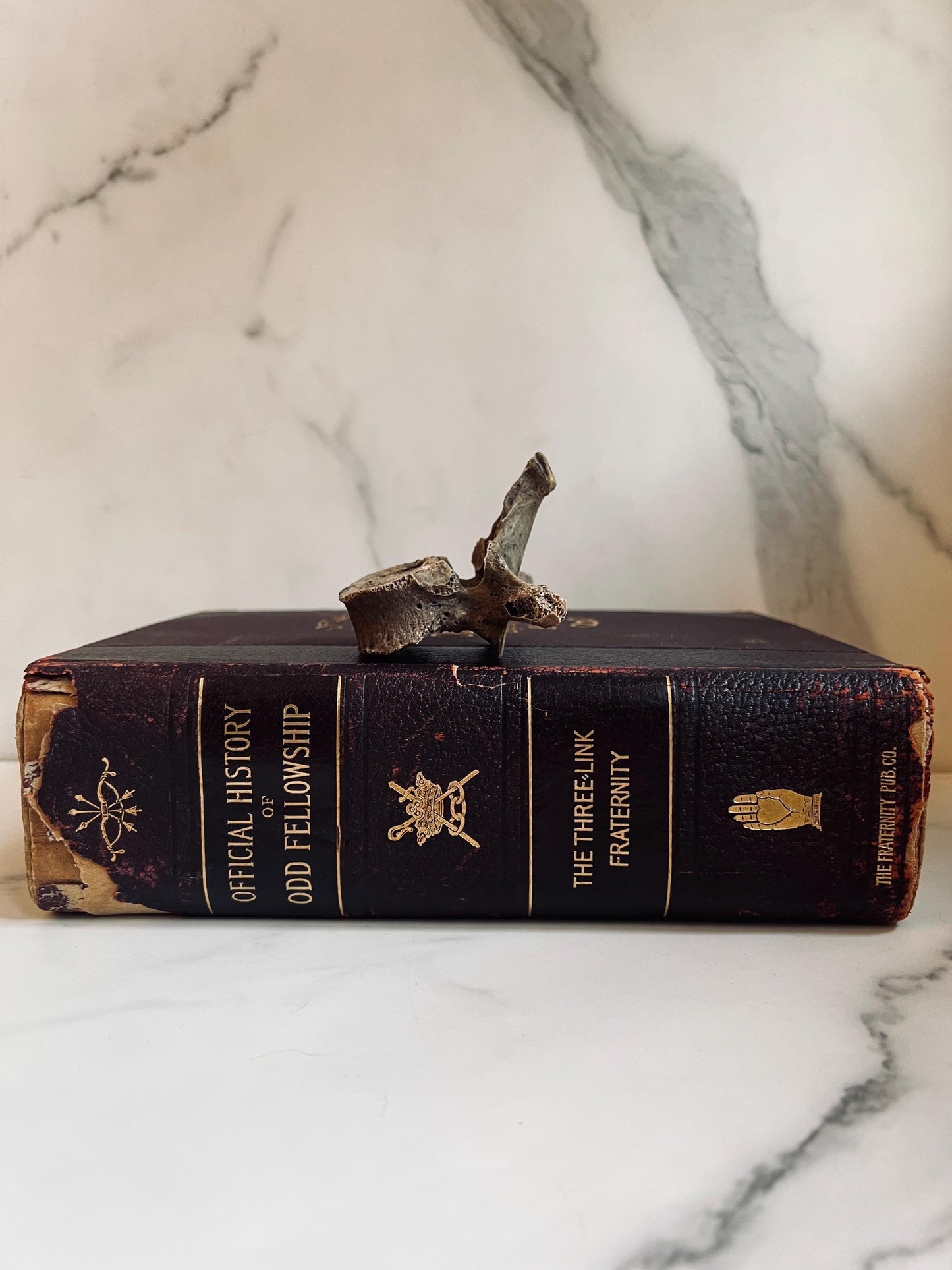 1904 Official History of Odd Fellowship the Three-Link Fraternity
