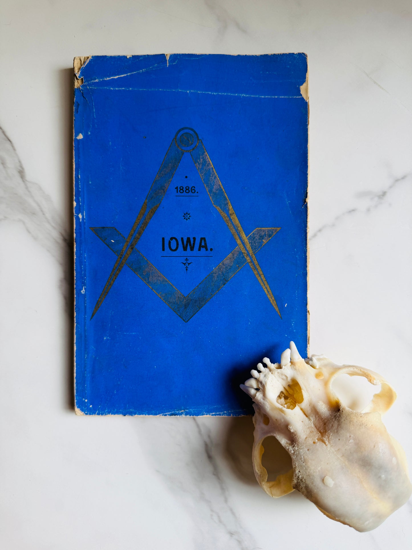 1886 Freemasonry Grand Lodge of Iowa Proceedings Annals Book; Antique Occult Text
