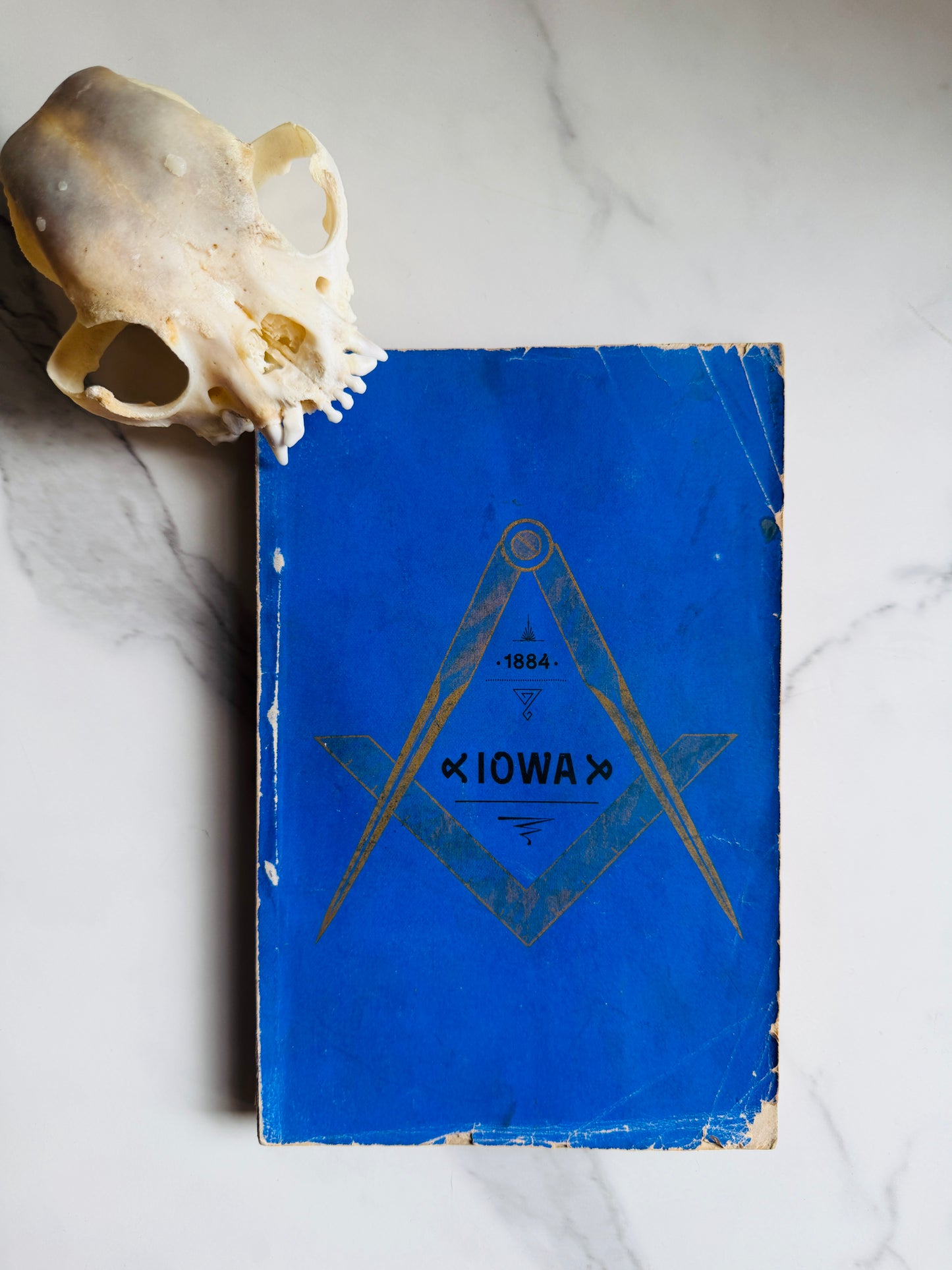 1884 Freemasonry Grand Lodge of Iowa Proceedings Annals Book; Antique Occult Text