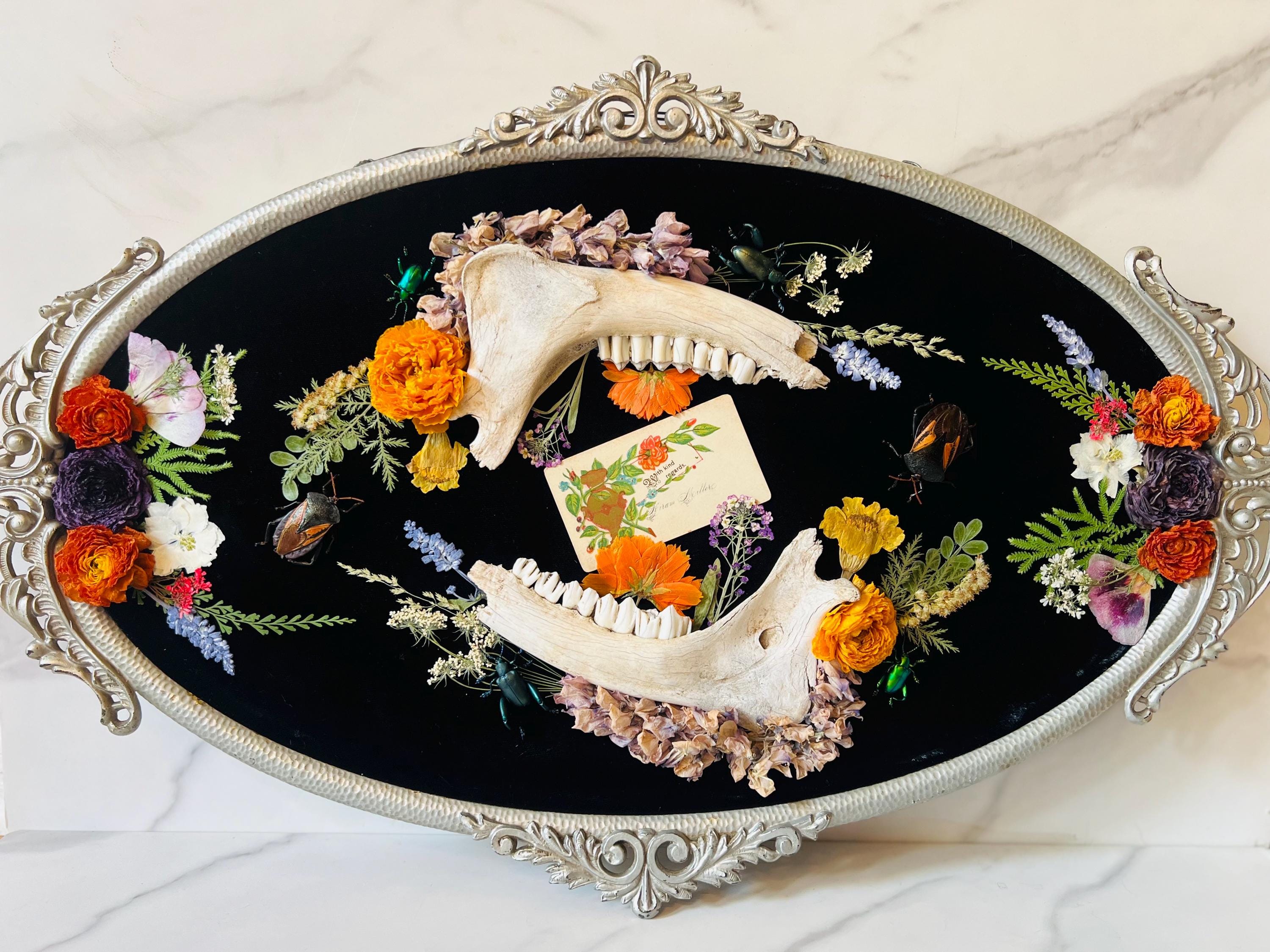Decorative arrangement with animal skull, flowers, and a letter on a black background, framed by an ornate silver border.