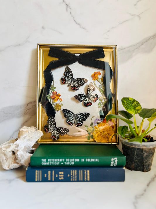 Real Insect Art; Real Butterfly Art; Antique Shadowbox Frame