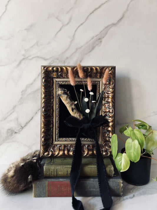 Real Mummified Coyote Paw Display; Vintage Ornate Frame