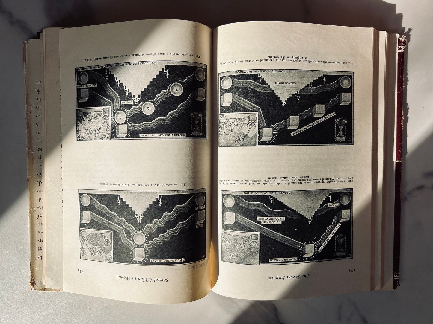 Illustrated 1954 Encyclopedia of Sex; Vintage Medical Book