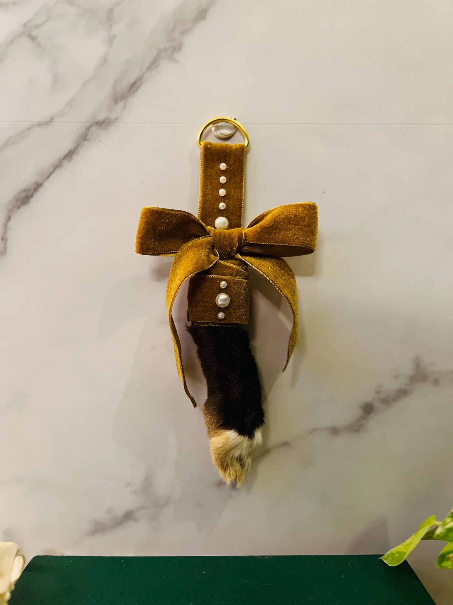 Real Rabbit Foot Display