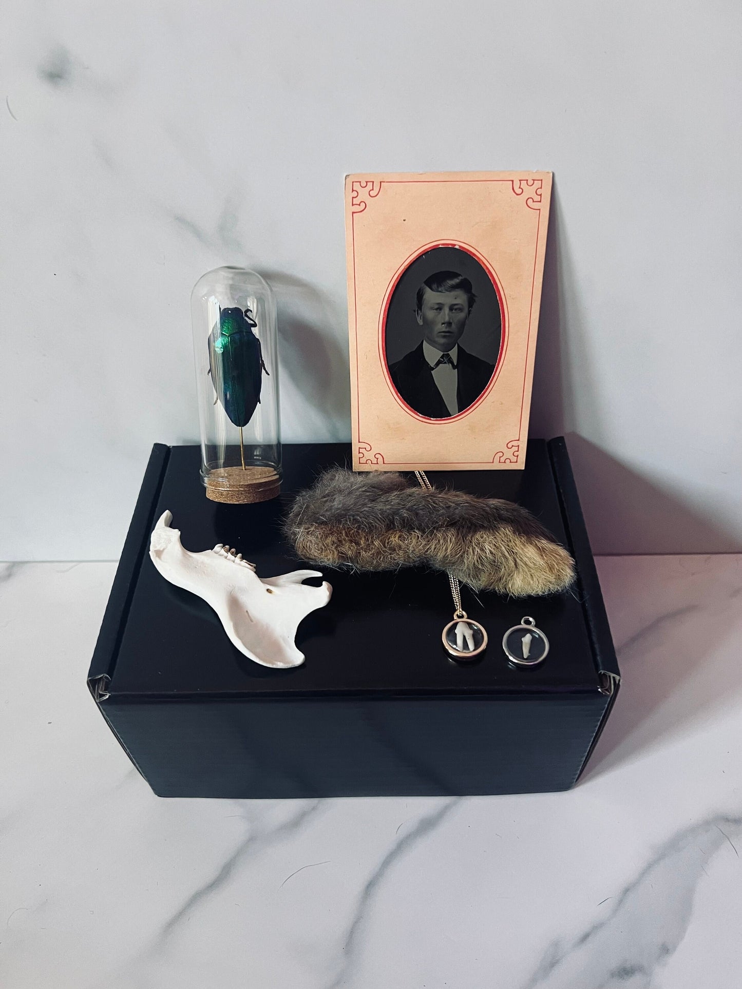 Small Mystery Box; Oddities Mystery Box; Curiosities Mystery Box; Nature Mystery Box