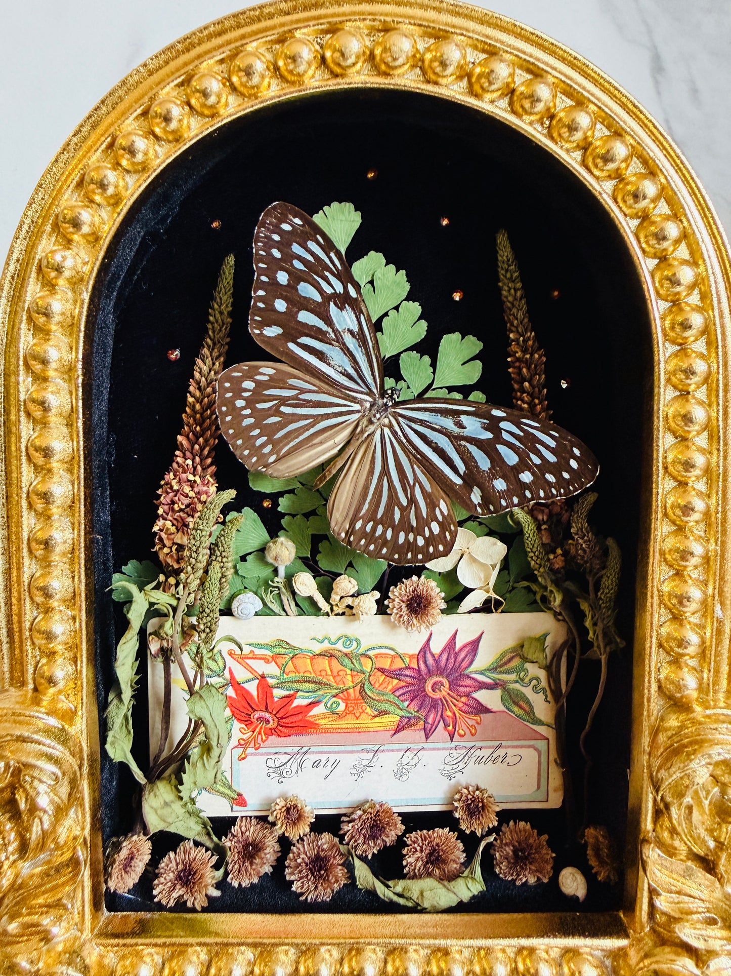 Lysoria - Real Butterly Art; Real Antique Calling Card