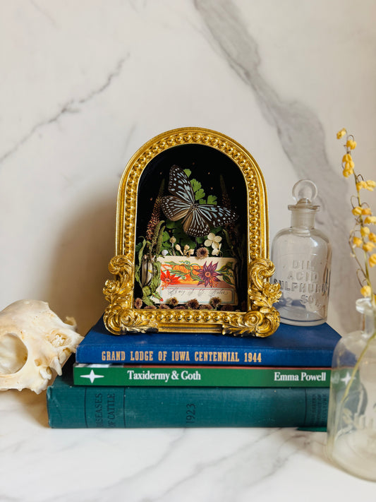 Lysoria - Real Butterly Art; Real Antique Calling Card