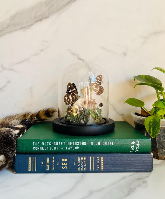 Real Bone Art; Real Insect Art; Glass Cloche
