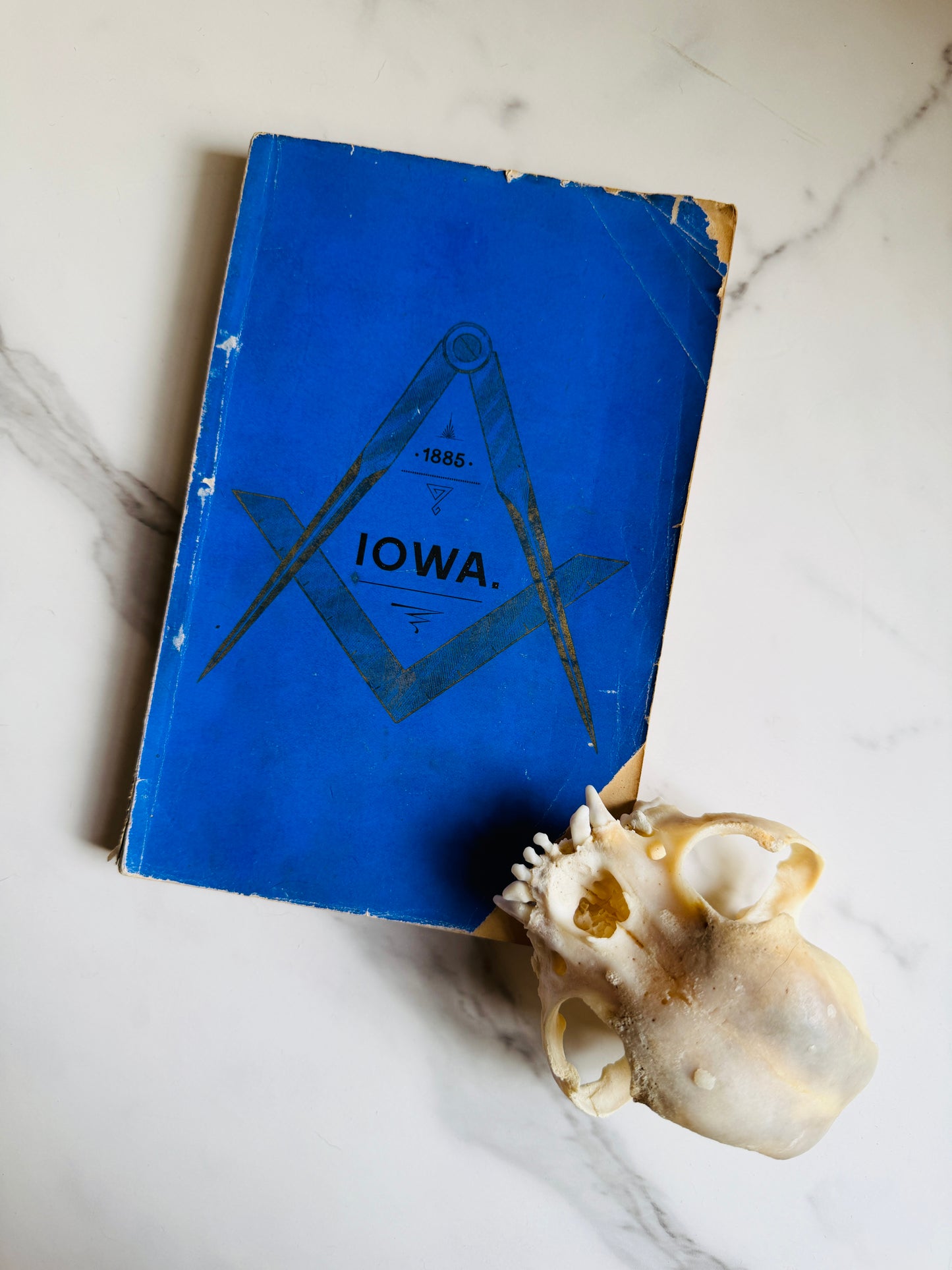 1885 Freemasonry Grand Lodge of Iowa Proceedings Annals Book; Antique Occult Text