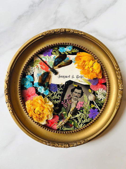 Real Insect Art; Real Dragonfly Mantis; Antique Bubble Convex Frame