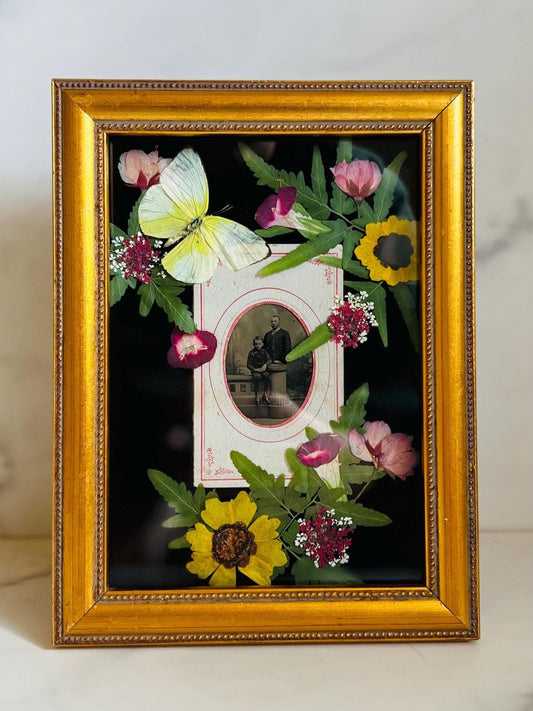 Real Insect Art; Real Antique Tintype; Ornate Vintage Frame
