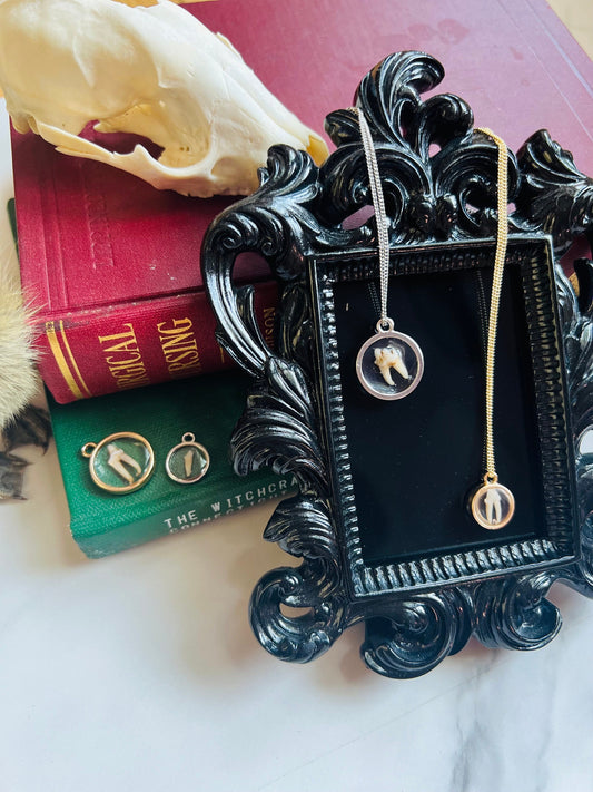 Real Tooth Necklace; Resin; Animal Tooth; Human Tooth
