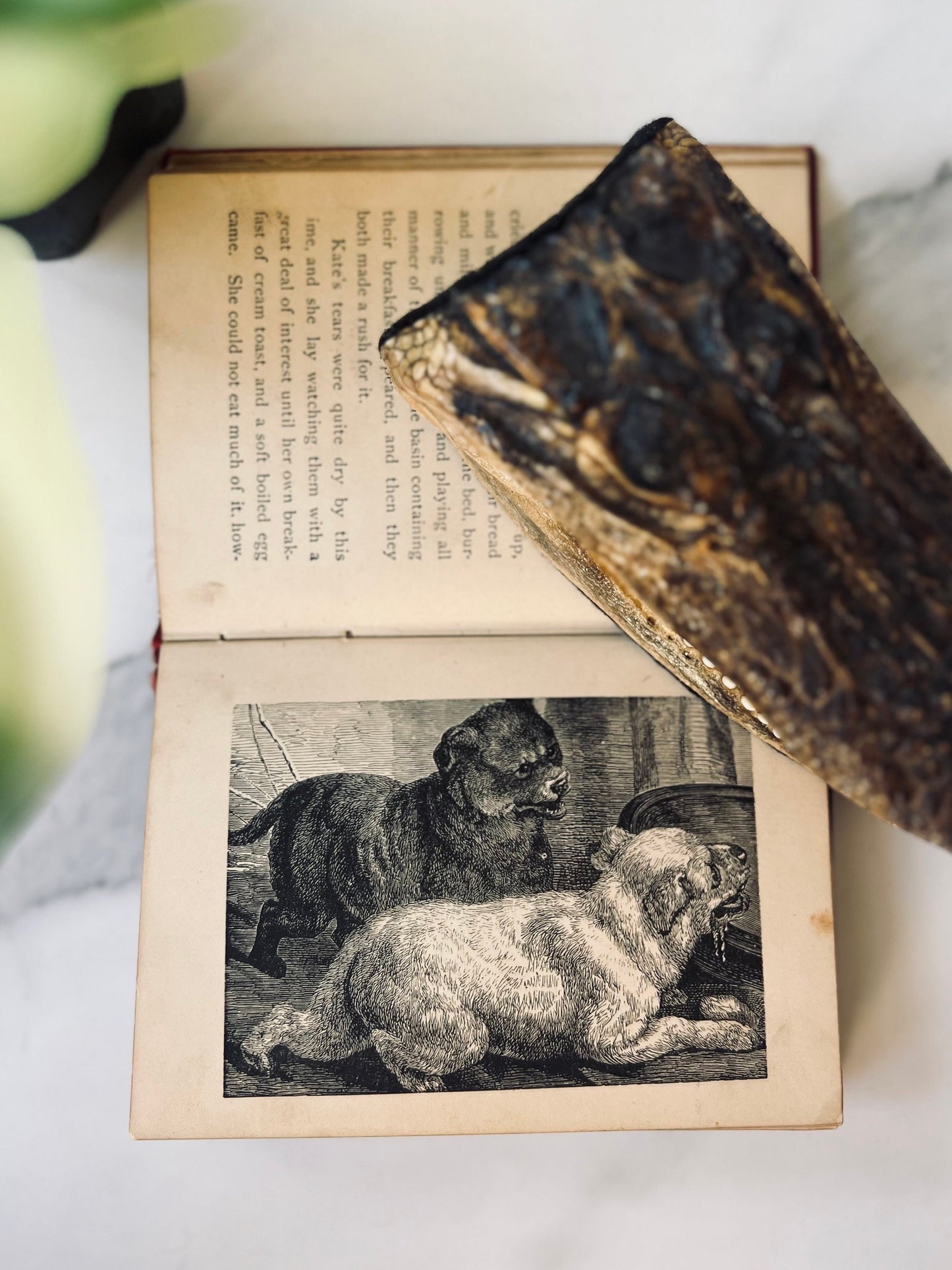 Illustrated 1877 Rose & Kate; Victorian Book; Children’s Book; Storybook