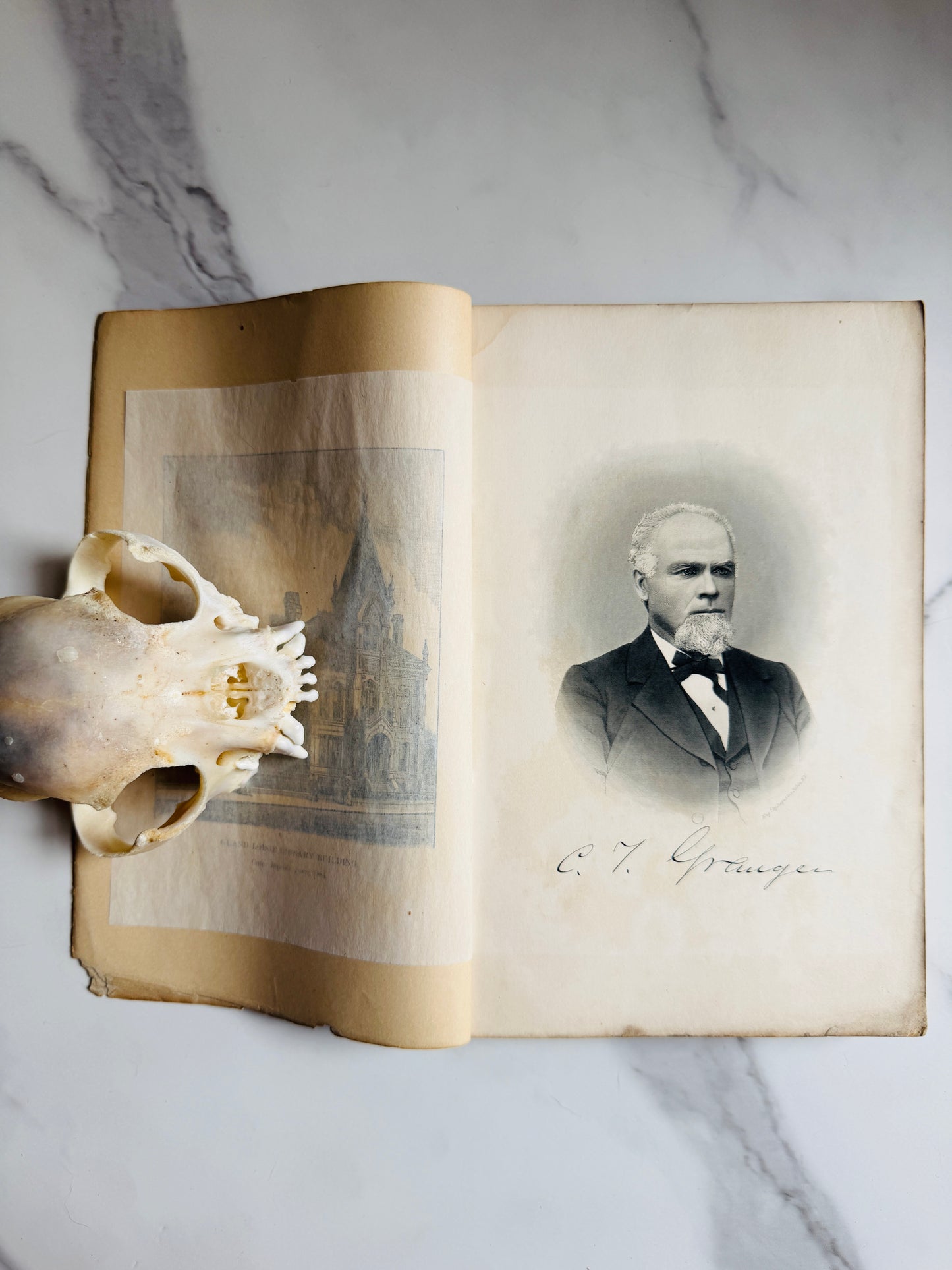 1884 Freemasonry Grand Lodge of Iowa Proceedings Annals Book; Antique Occult Text