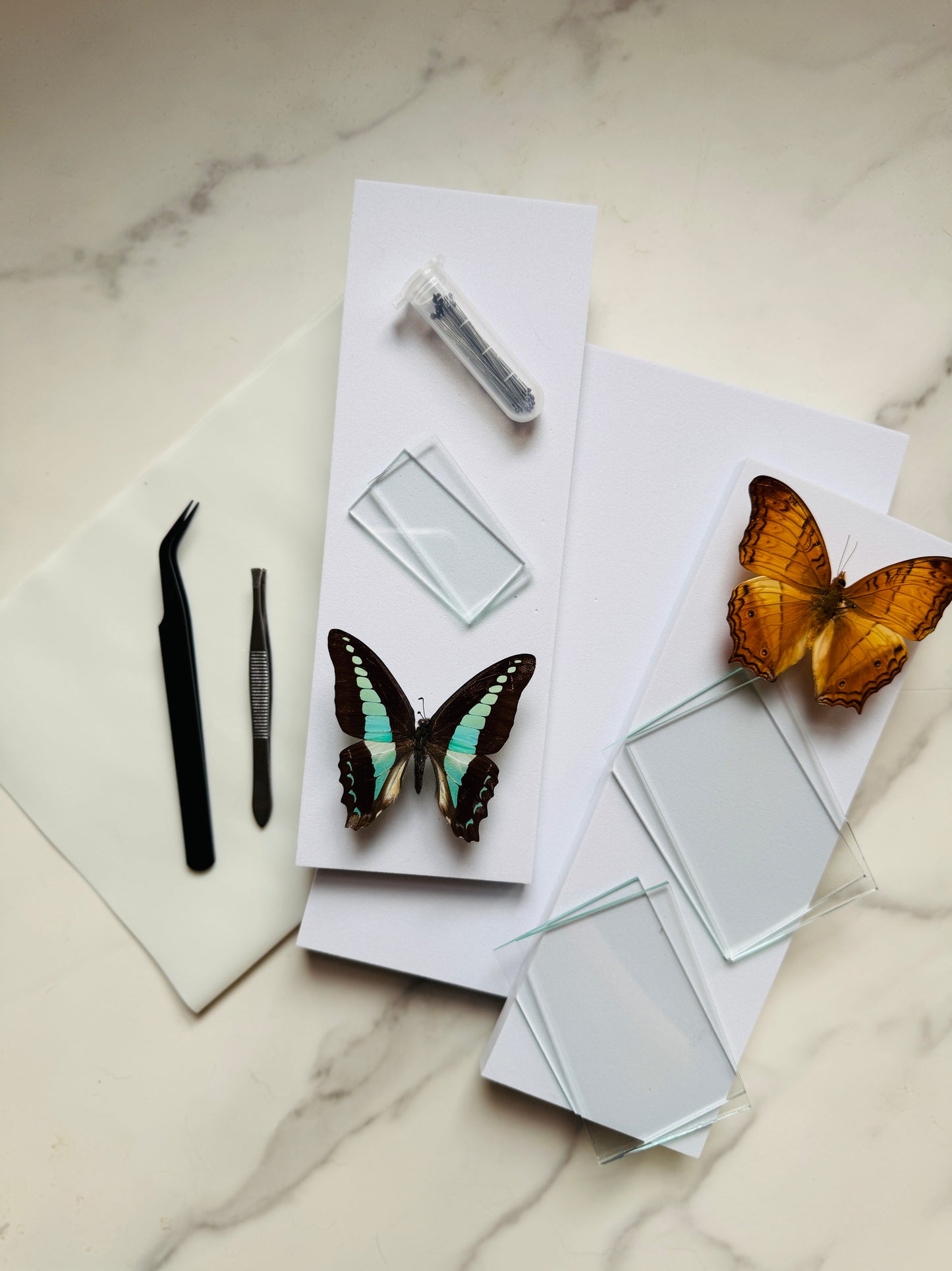 Insect Mounting Kit; Insect Pinning Kit