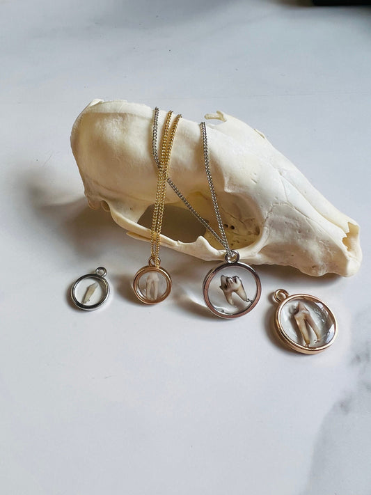 Real Tooth Necklace; Resin; Animal Tooth; Human Tooth