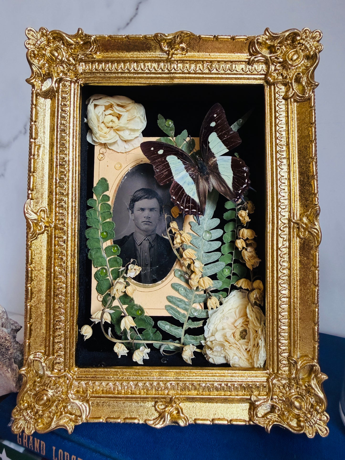 Ellison - Real Butterfly Art; Real Antique Tintype