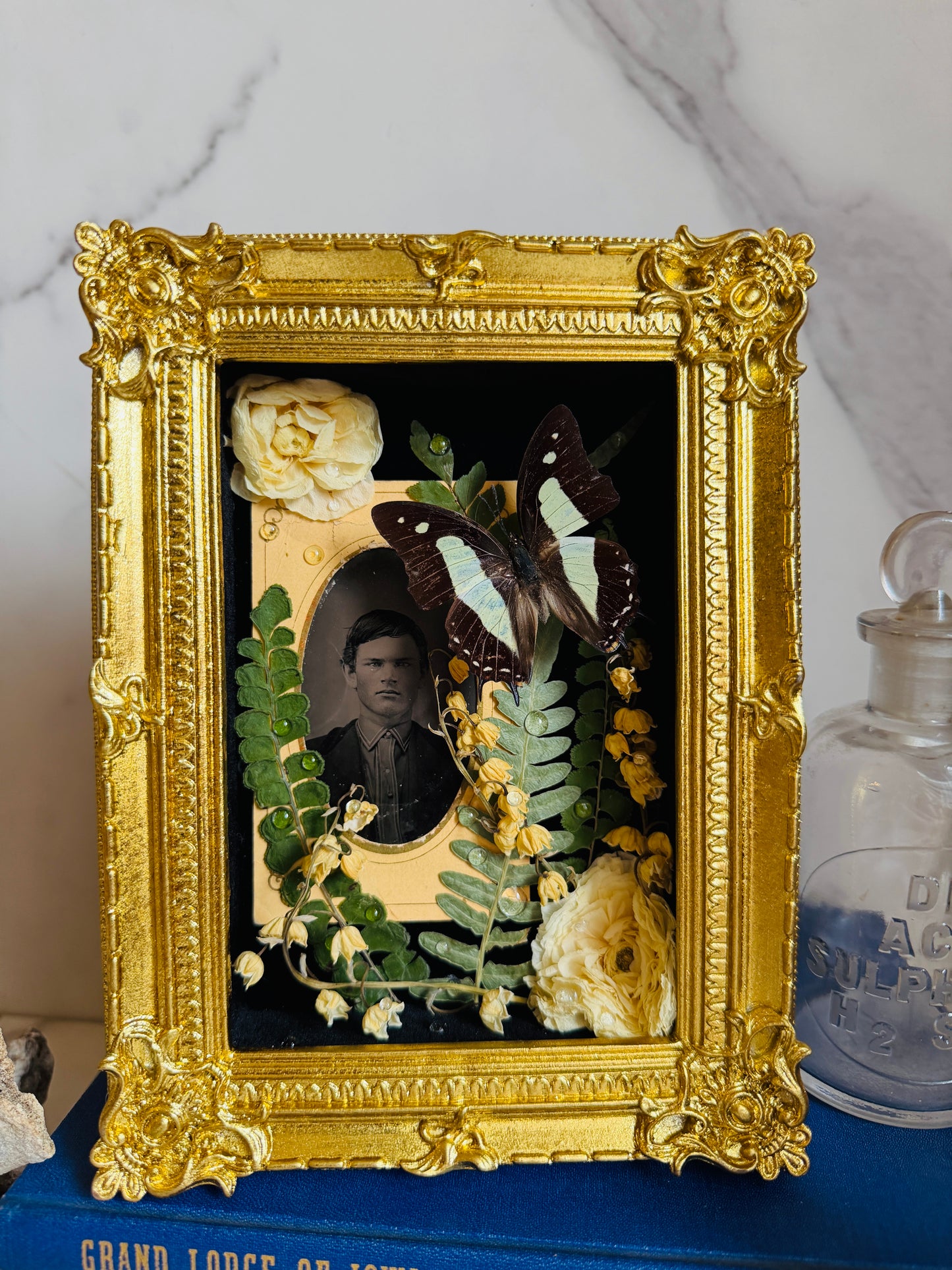 Ellison - Real Butterfly Art; Real Antique Tintype